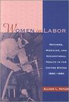 Women in labor : mothers, medicine, and occupational health in the United States, 1890-1980 by Allison L. Hepler