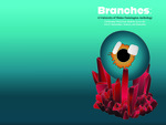 Branches: A University of Maine Farmington Anthology Celebrating Work from Students Across the Arts & Humanities, Sciences, and Education by University of Maine at Farmington, Gretchen Legler (ed.), and Joseph W. McDonnell